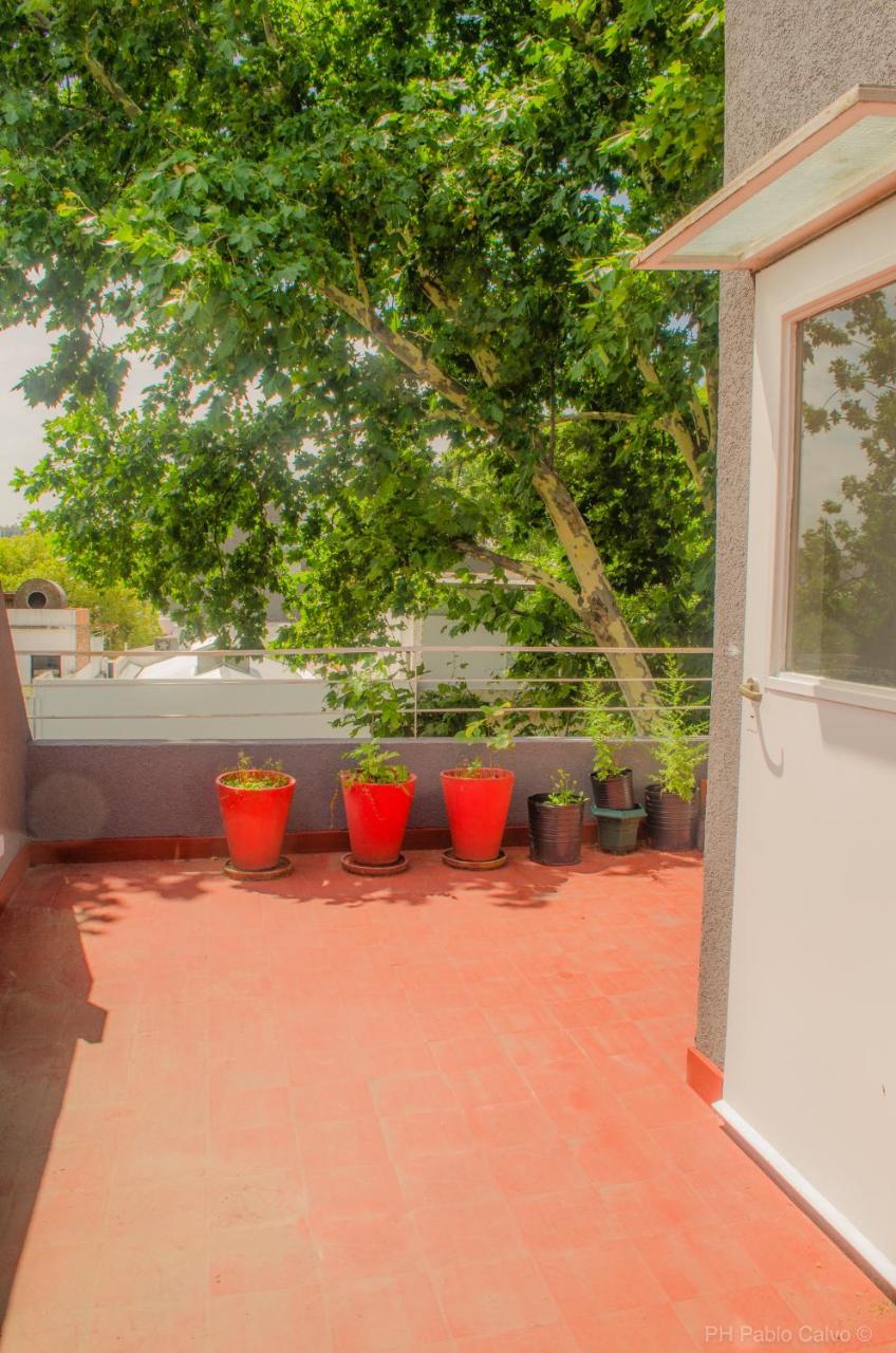 Apartamento Syrah